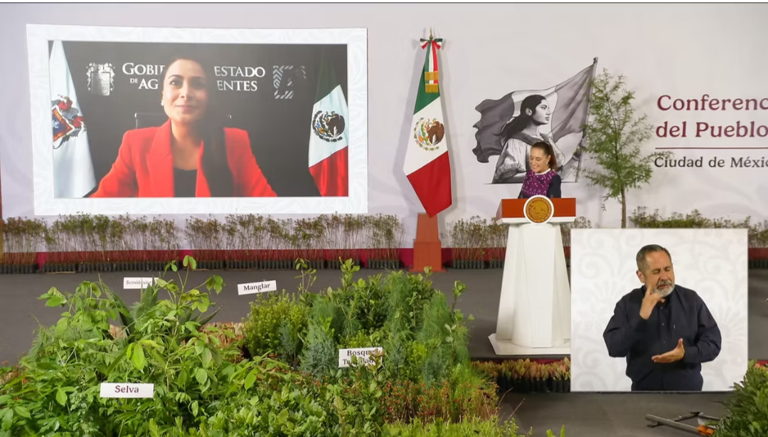 Screenshot_20260808-163217-881